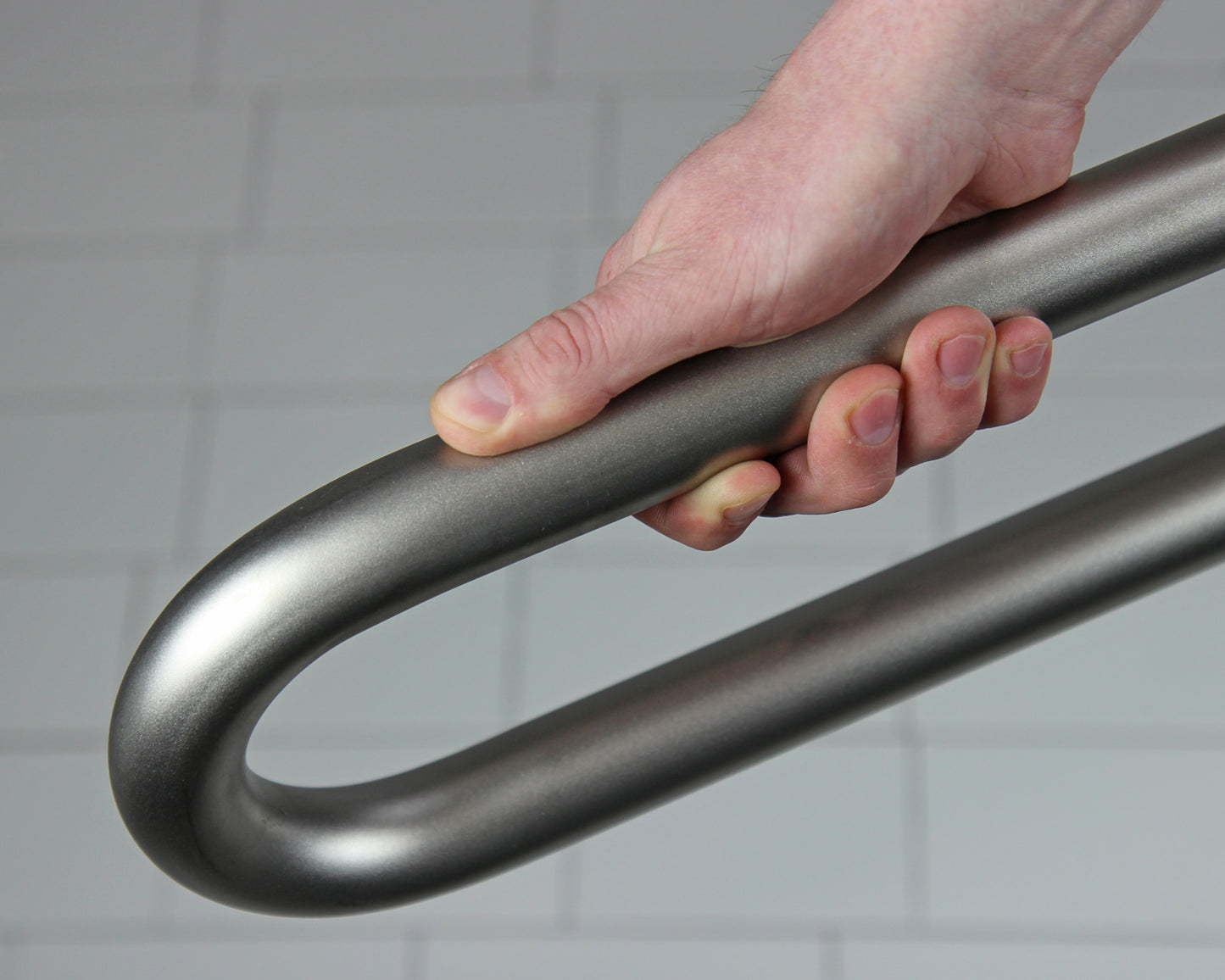Frost Swing Up Grab Bar In Use